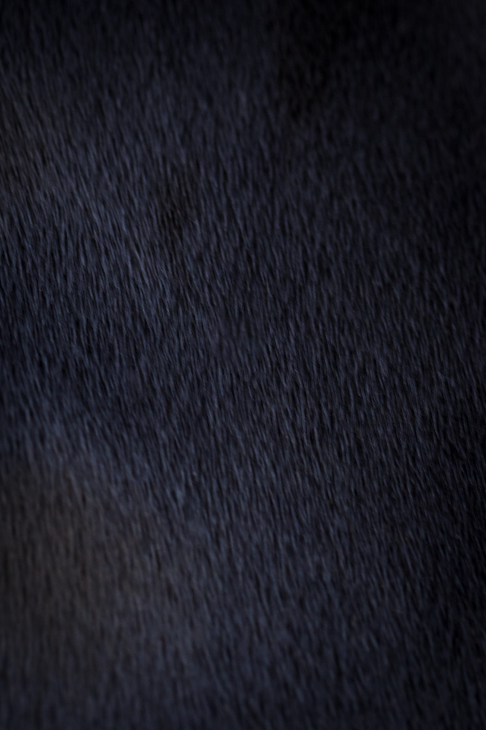 Anthroritetexture
