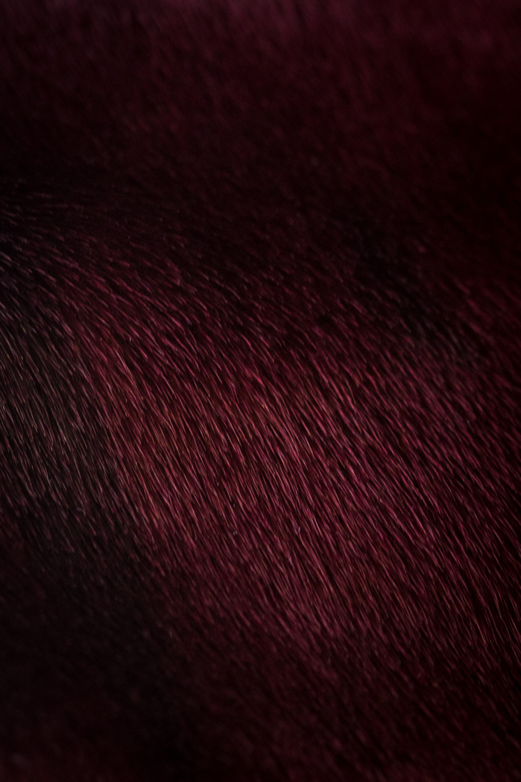 Burgandyredtexture