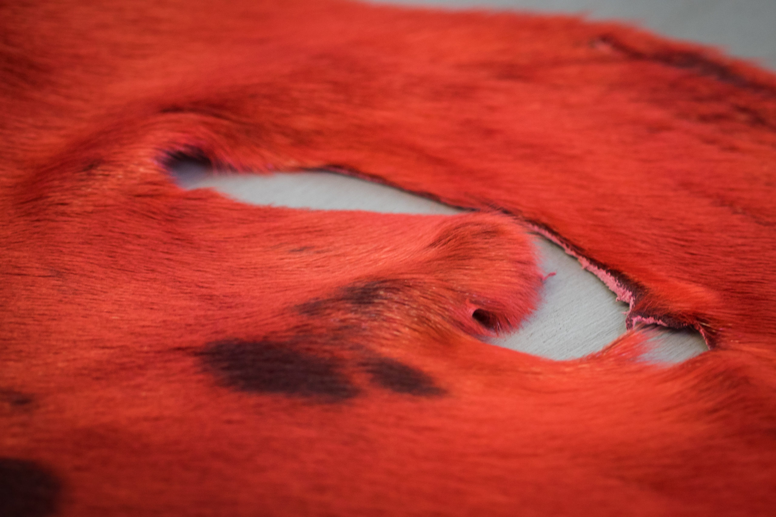 Cherryredhole