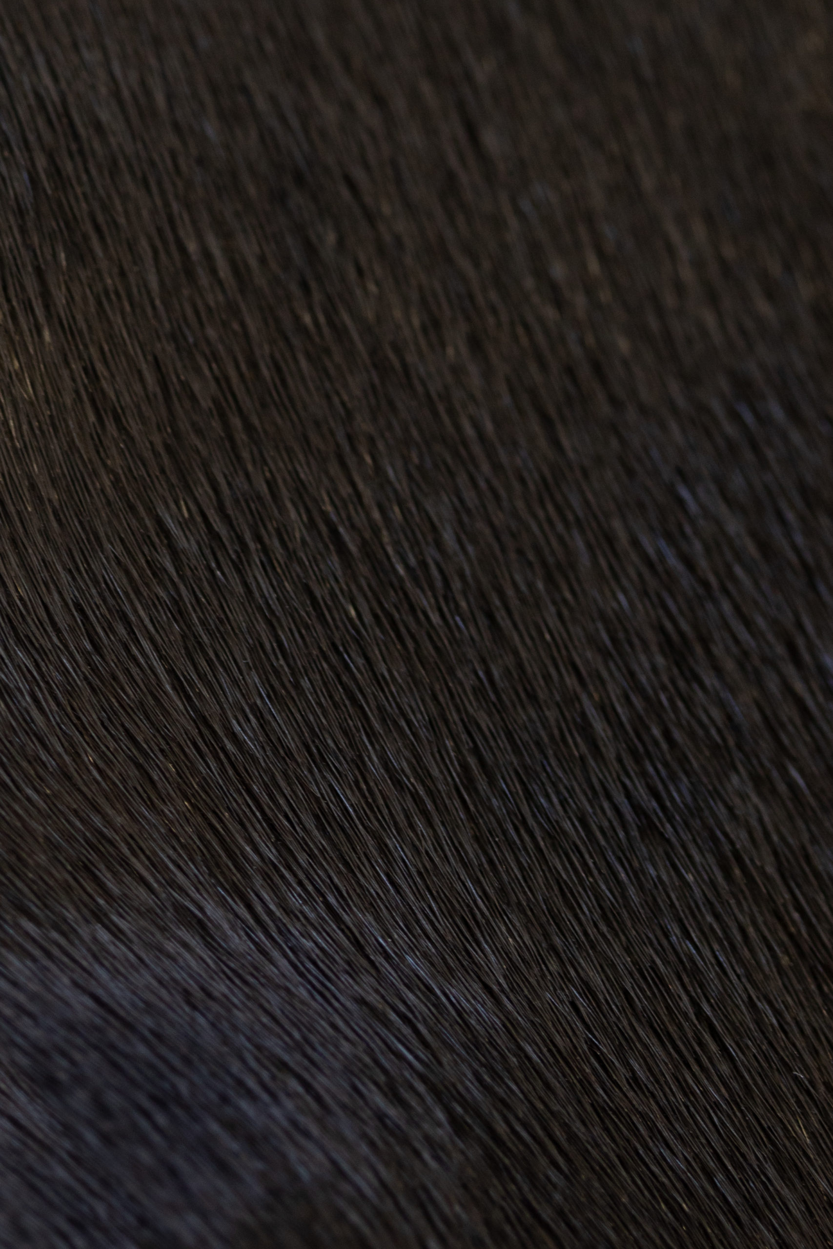 Darkbrowntexture