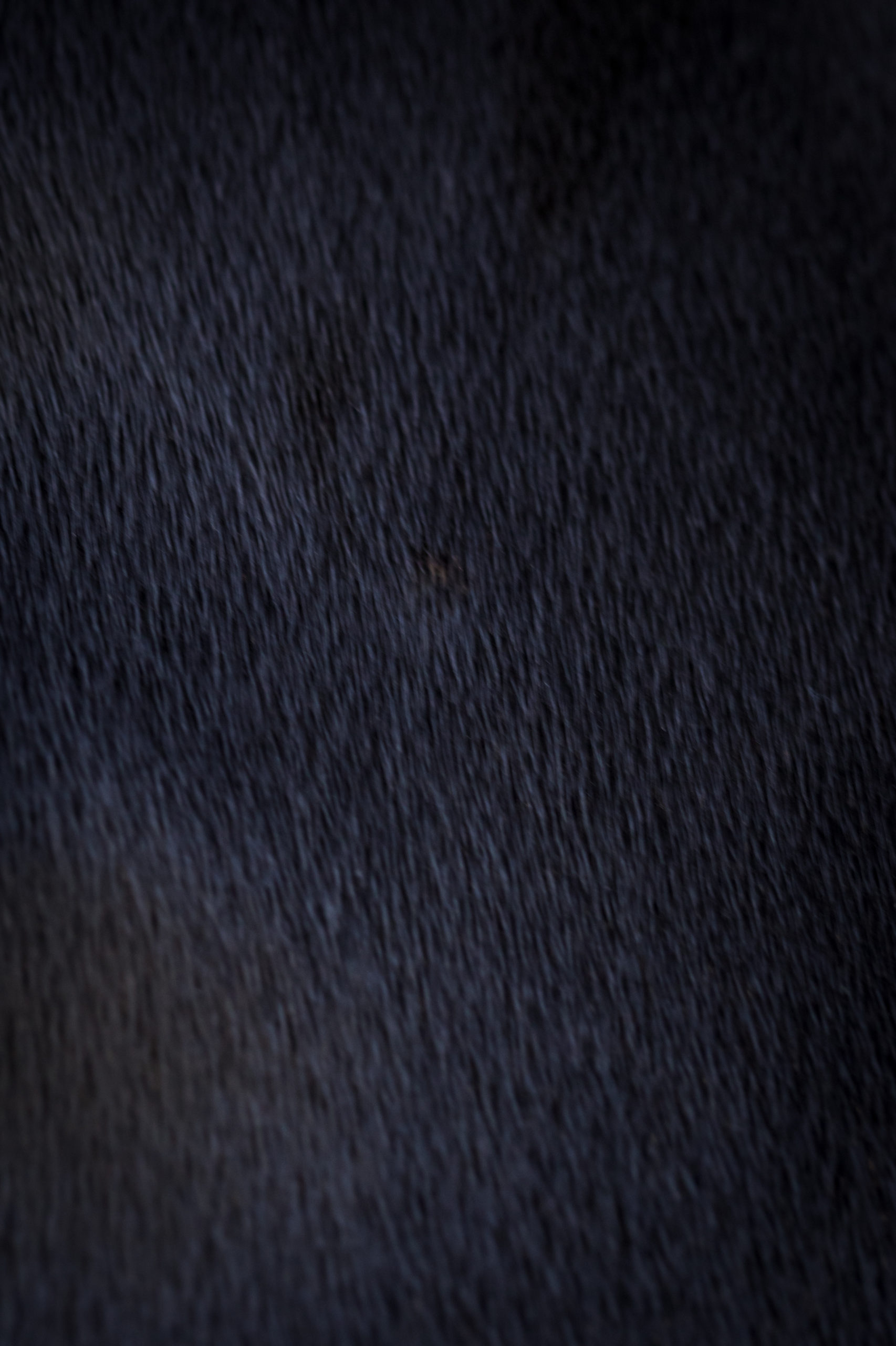 Graphitetexture