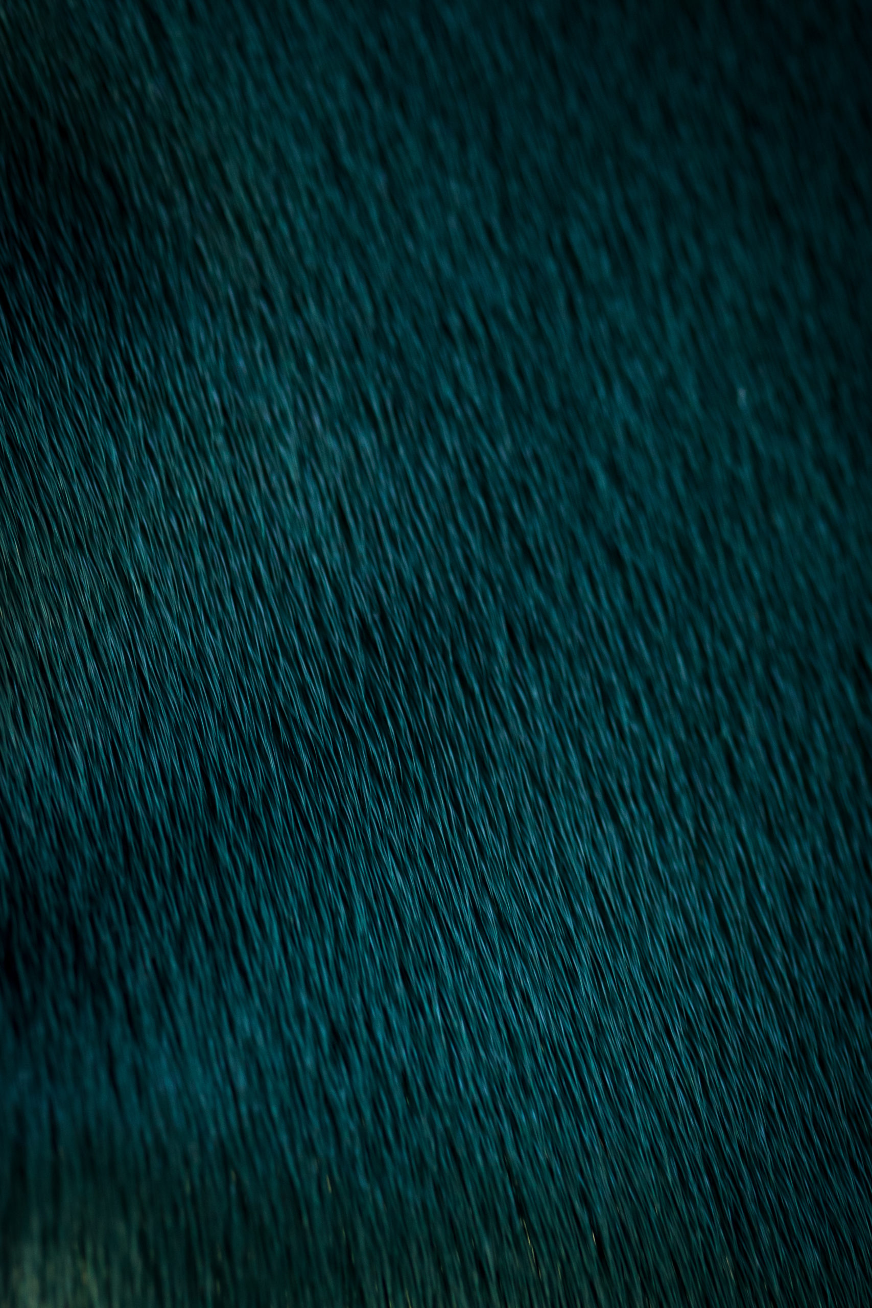 Greentexture