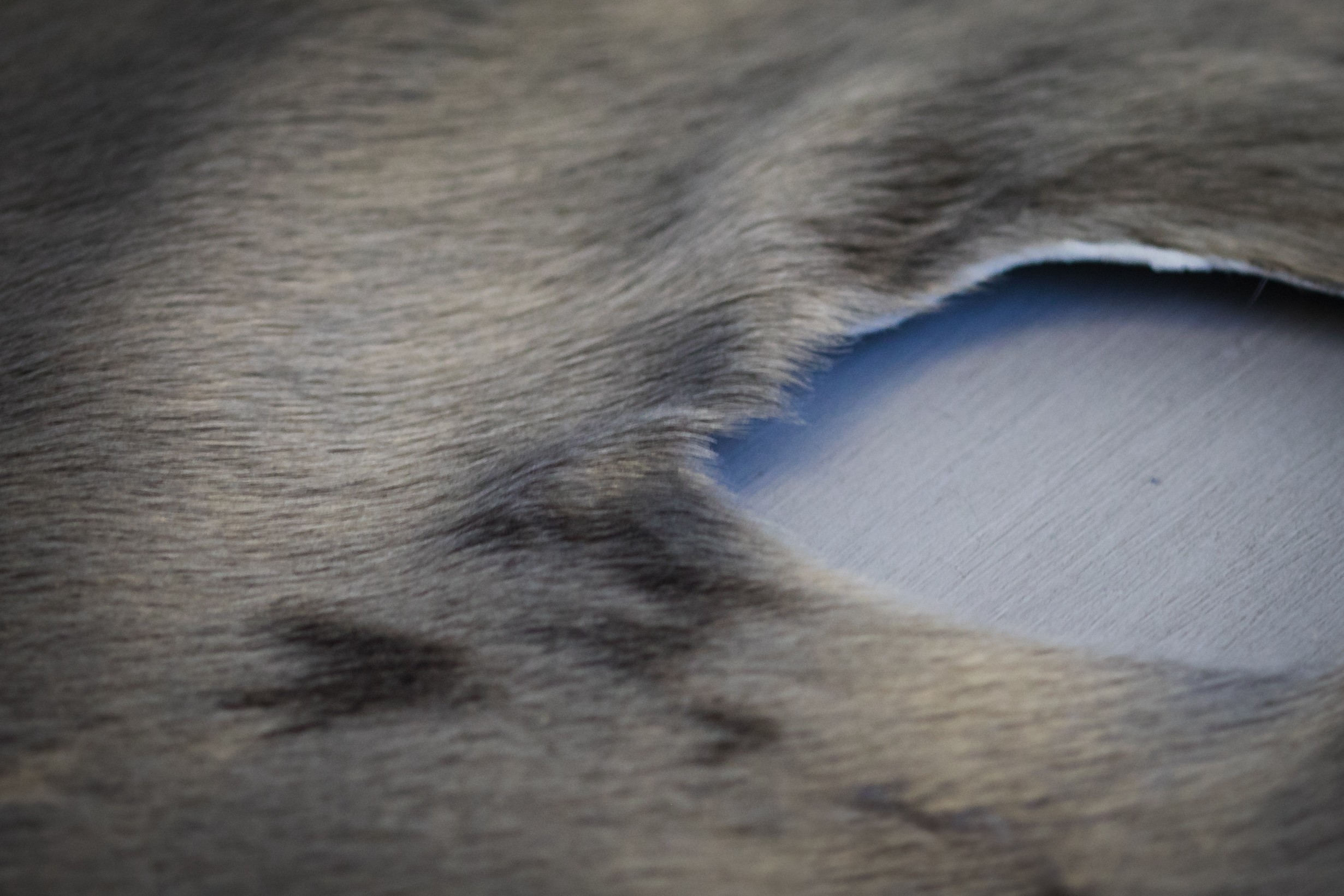 Polarhole