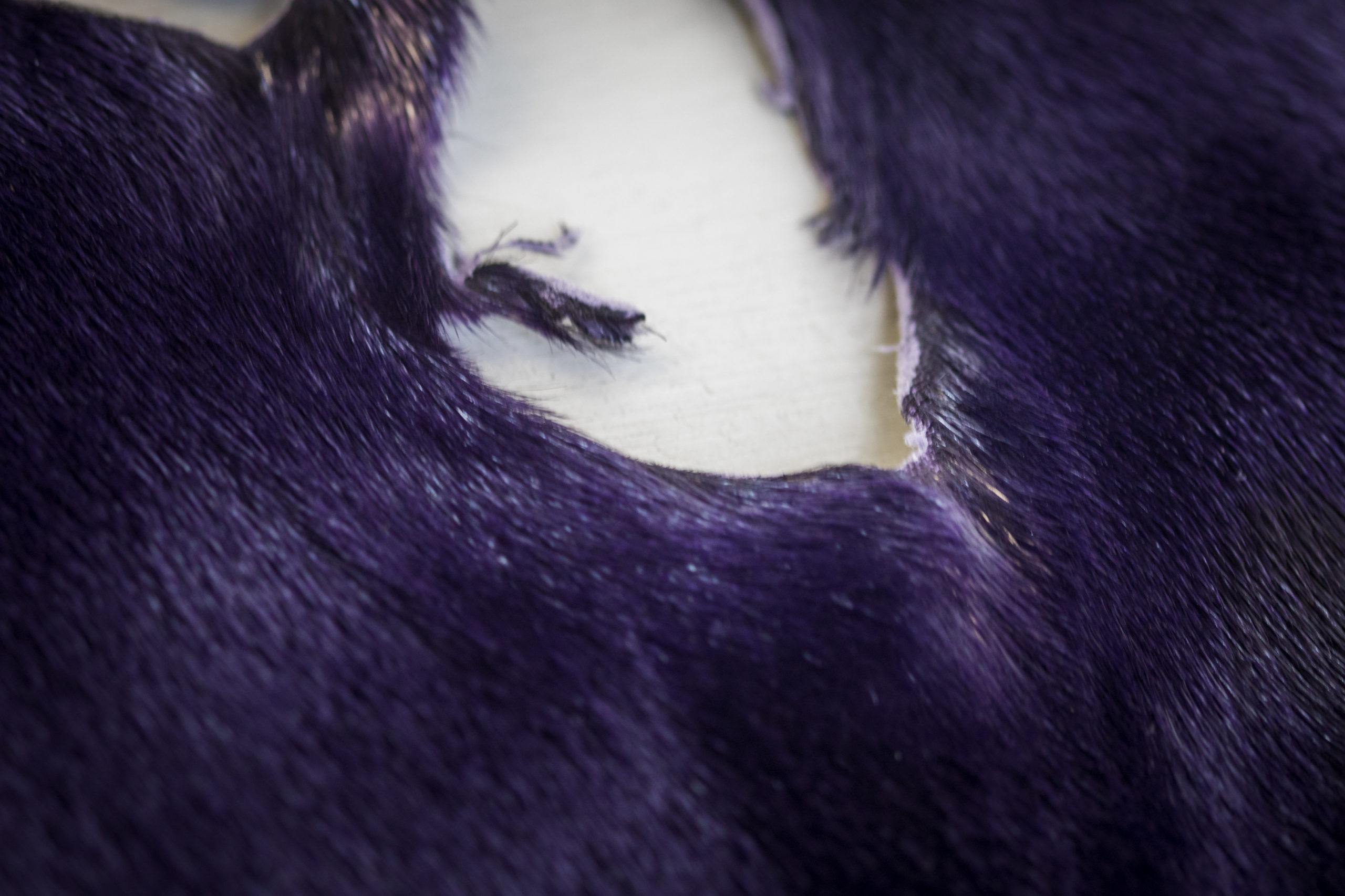 Purplehole