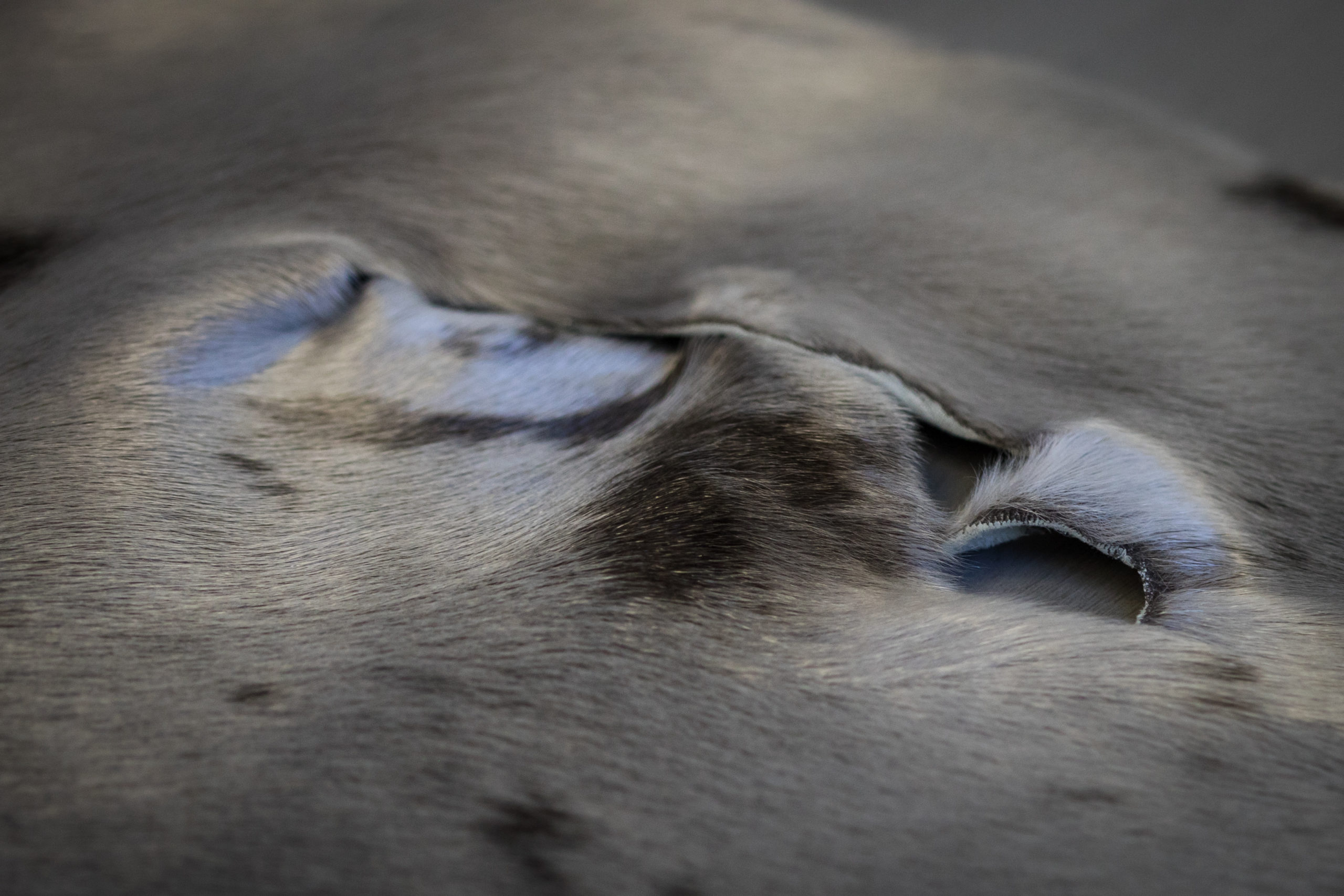 Steelhole