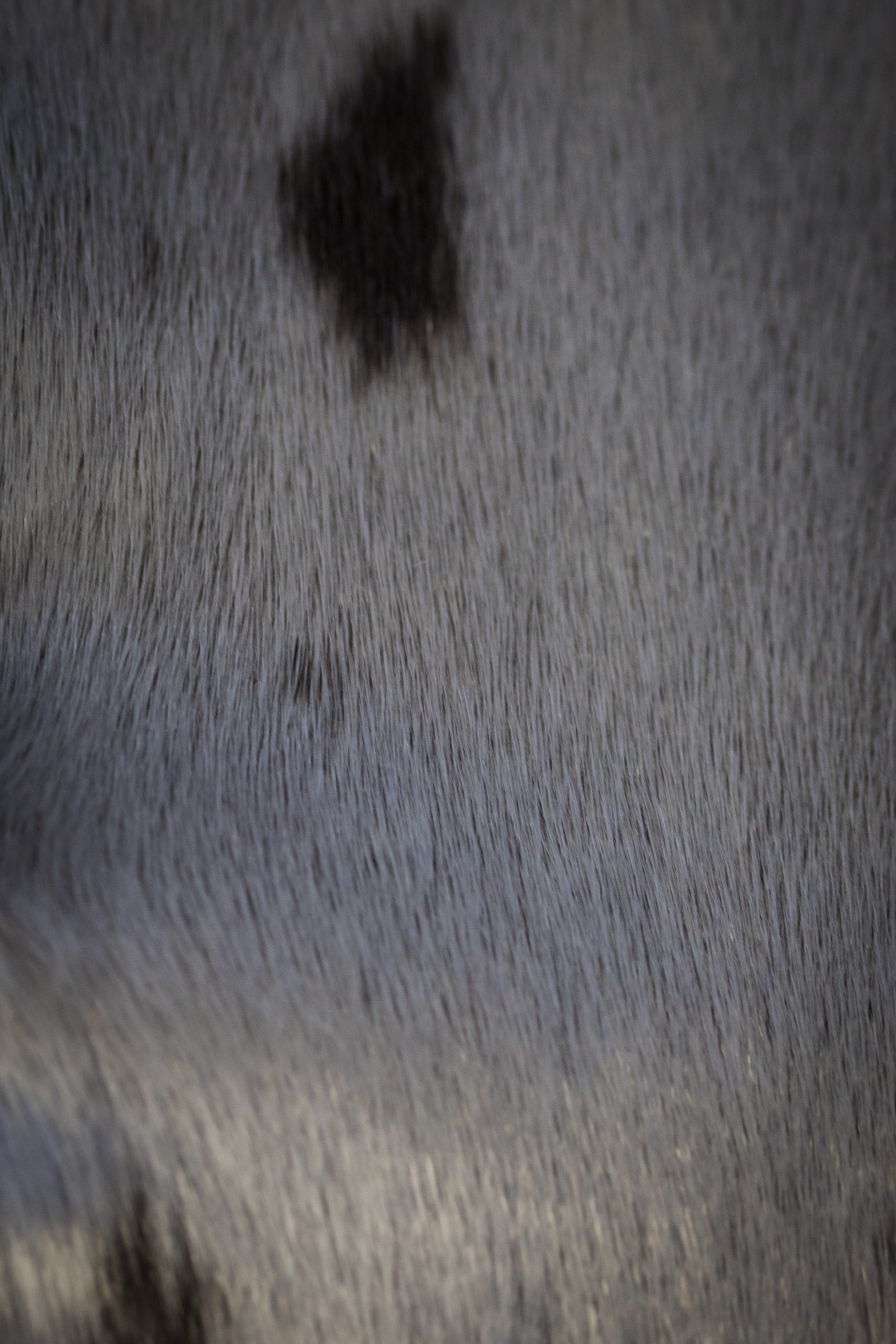 Steeltexture