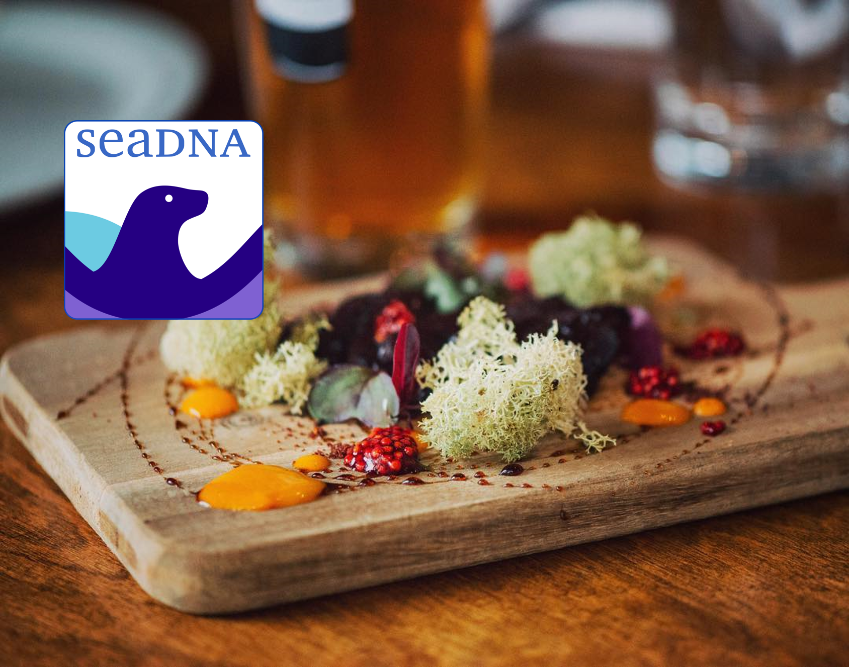 SeaDNA-blog-2
