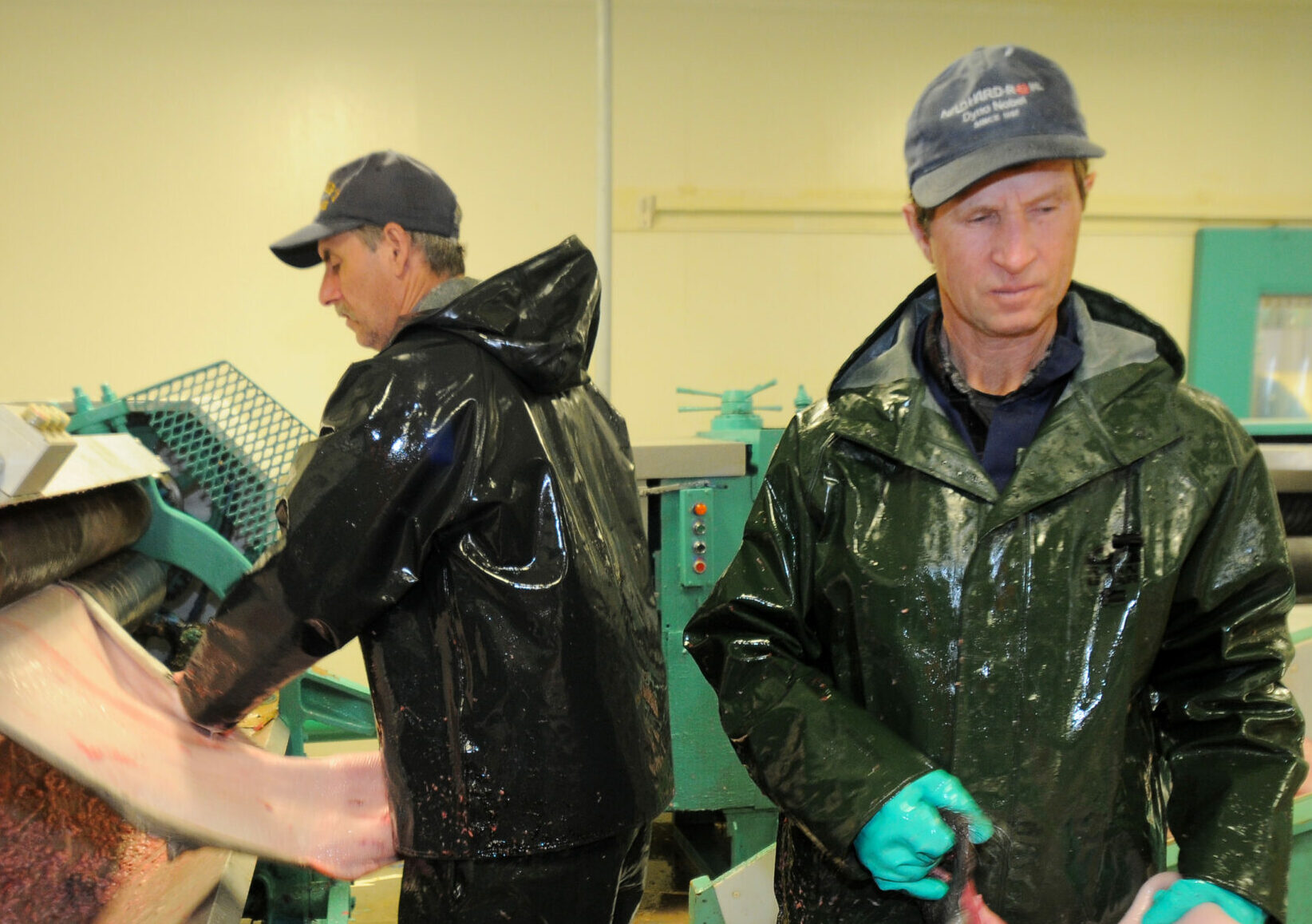Seal Oil Processing Facility Carino (22)