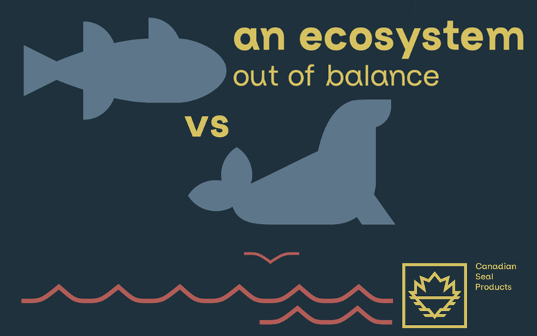 Seal vs. Fish An Exosystem Out of Balance CSP 4