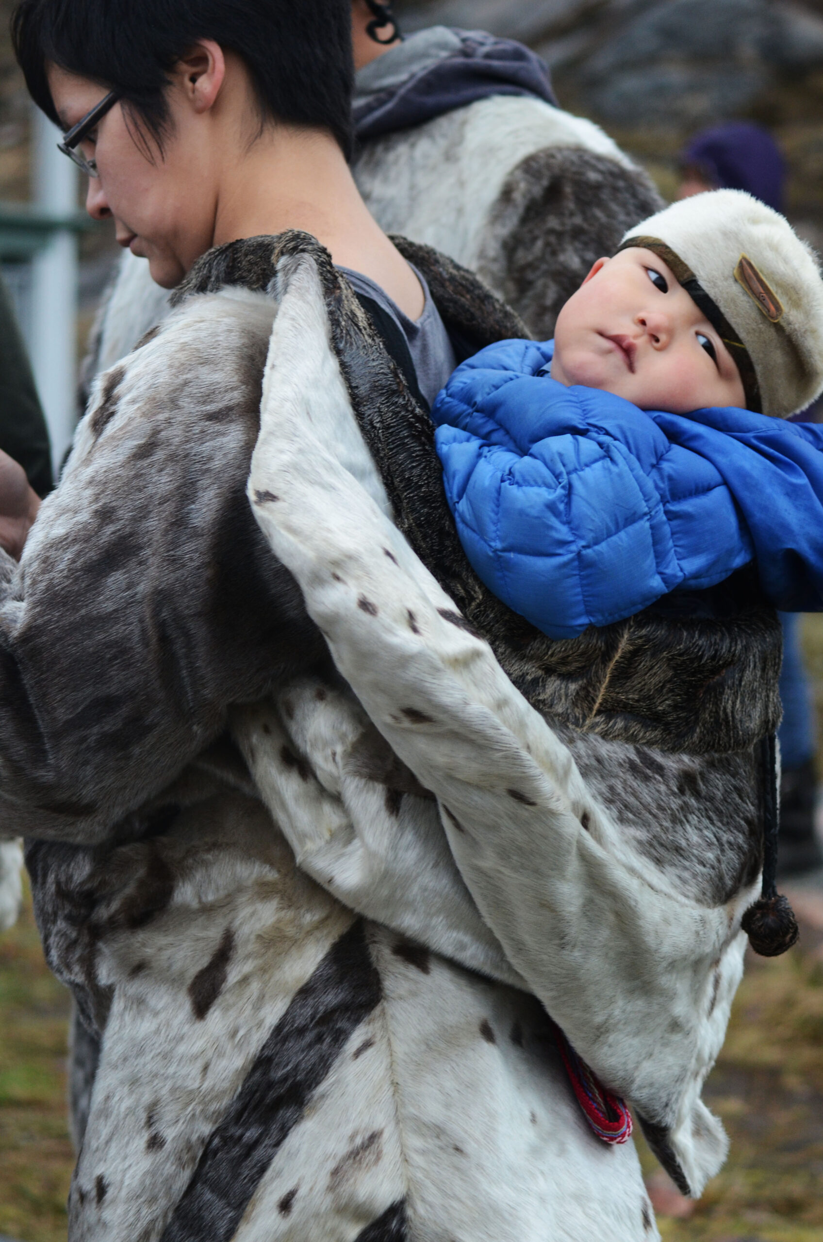 Seal & Indigenous Communities Pictures (10)