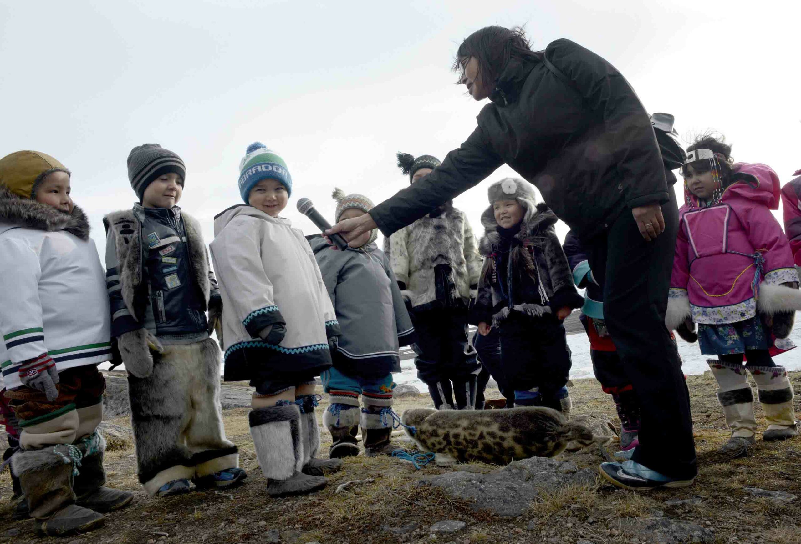 Seal & Indigenous Communities Pictures (4)