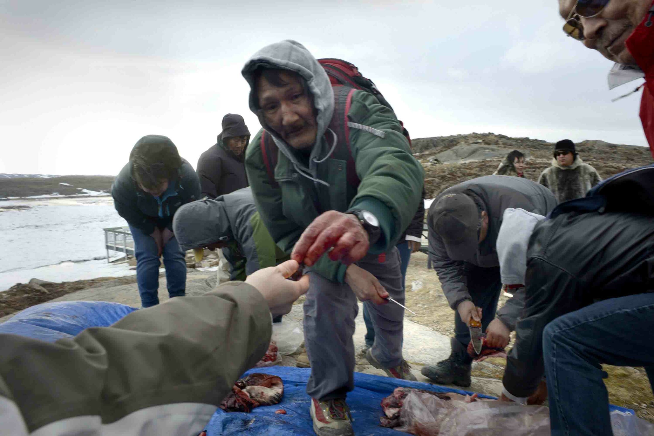 Seal & Indigenous Communities Pictures (8)