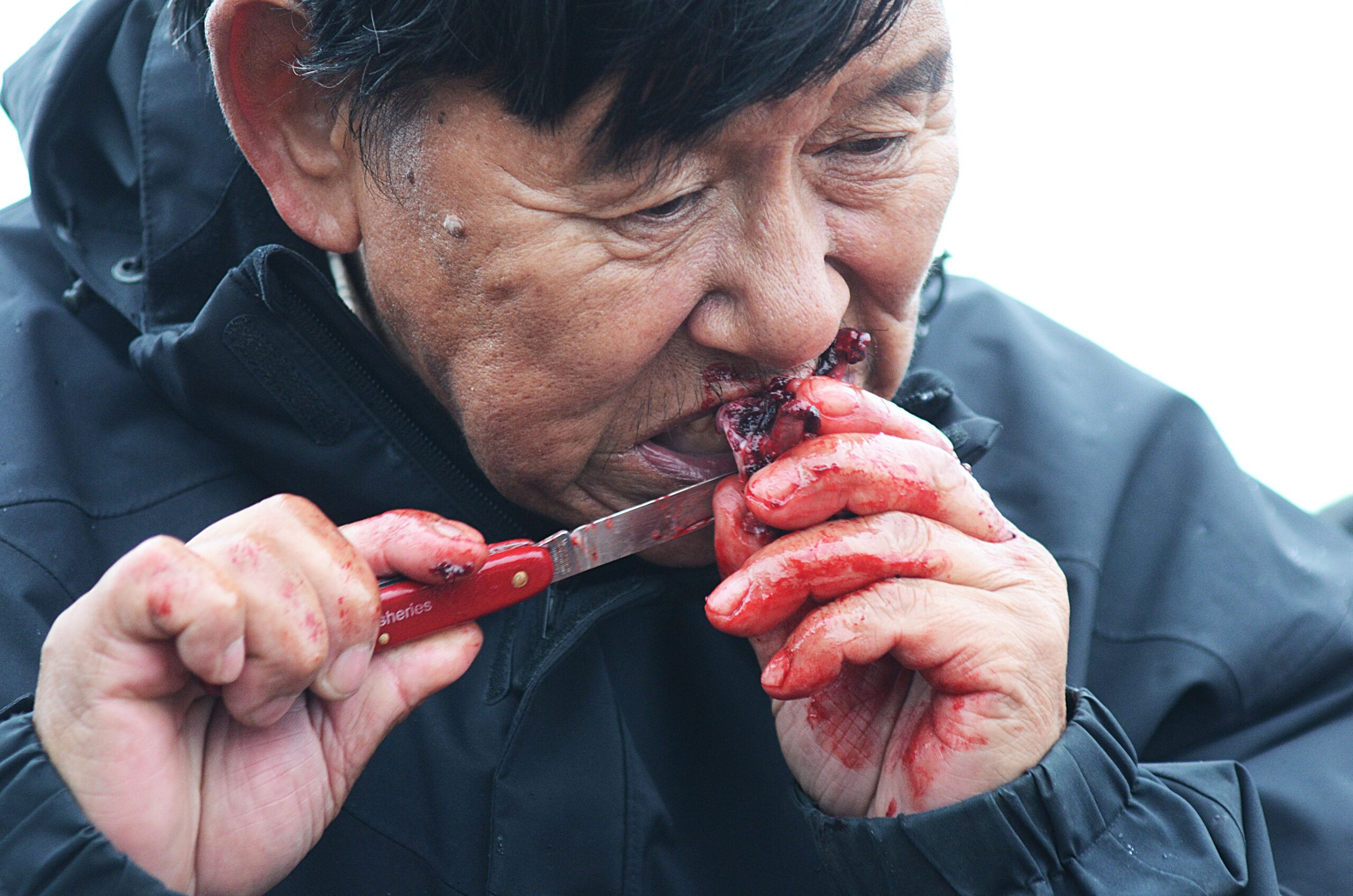 Seal & Indigenous Communities Pictures (9)
