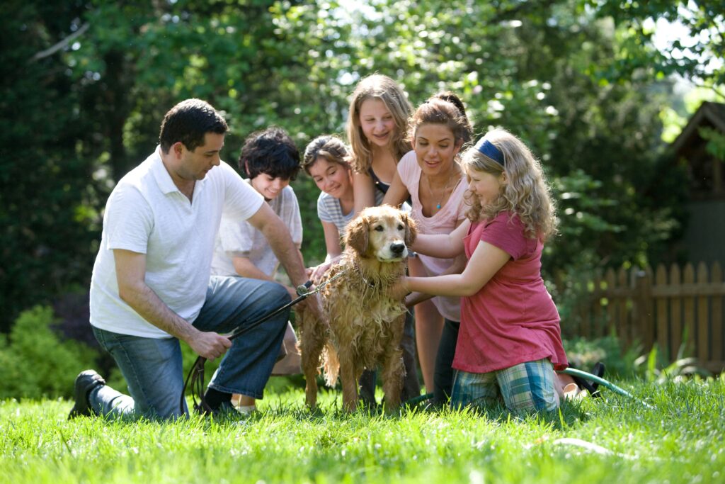 family giving a bath to their golden retriver