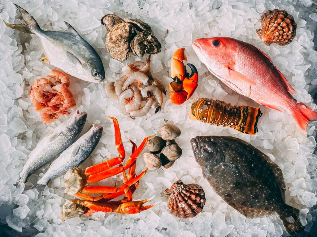 seafood seal meat